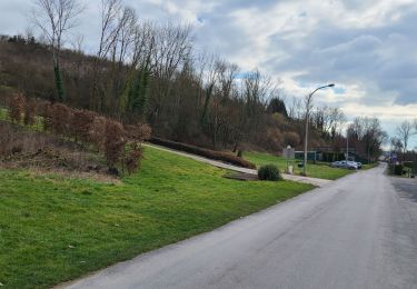 Tour Wandern Brasles - Brasles ADR - Photo