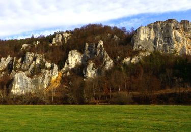 Excursión A pie Gomadingen - DonauFelsenLäufe: Donaufelsengarten - Photo