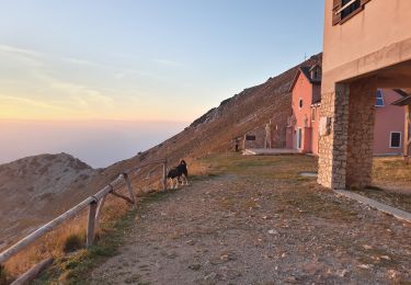 Excursión A pie Ferrara di Monte Baldo - Sentiero Agostino Goiran - Photo