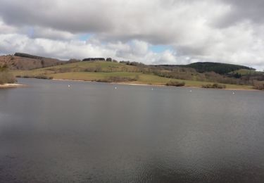 Trail Walking Peyrelevade - Fred lac du chamet - Photo