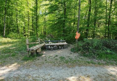 Tour Wandern Etzlingen -  balade etzling - Photo