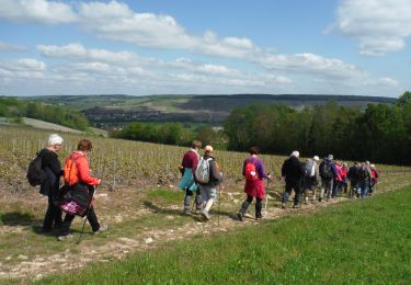 Tour Wandern Blesmes - Randonnée Blesmoise du 12 Mai 2019 - Photo