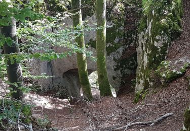 Trail Walking Saint-Hippolyte - St Hippolyte - Grotte du Château de la Roche - Grotte du Bisontin - Photo