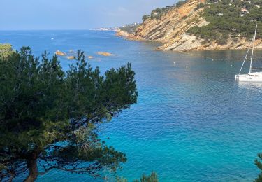 Excursión Senderismo Ensuès-la-Redonne - Cote bleue rando - Photo