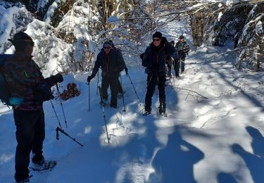 Trail Snowshoes Presles - la Goulandiere - Photo