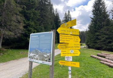 Excursión Senderismo Gemeinde Obernberg am Brenner - 3eme Rando Innsbruck  - Photo