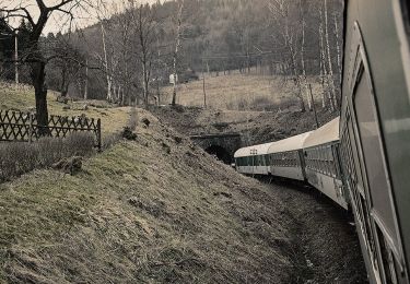 Tocht Te voet Křižany - [Ž] Křižanské sedlo - Pláně - U transformátoru - Photo