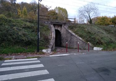 Excursión Paseo ecuestre Maincy - Tour IdF - Etape Vaux-le-Vicomte à Bois-le-Roi - Itinéraire est/ouest - Photo