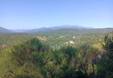 Tocht Stappen Céret - saint ferreol - Photo