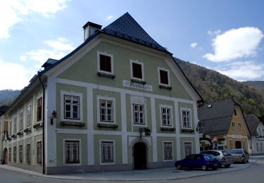 Excursión A pie Gemeinde Hollenstein an der Ybbs - Höhenweg - Photo