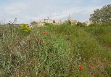 Tour Wandern Valliguières - valliguieres - Photo