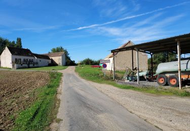 Randonnée Vélo de route Paron - 087 NO70 Voulx # Les Joncheries-01 - Photo