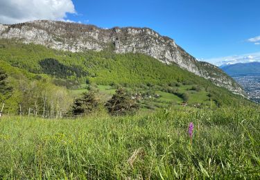 Tour Wandern Mont-Saint-Martin - Ascension au pas de l’âne  - Photo