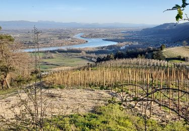 Excursión Senderismo Tournon-sur-Rhône - Le Pas du géant  - Photo