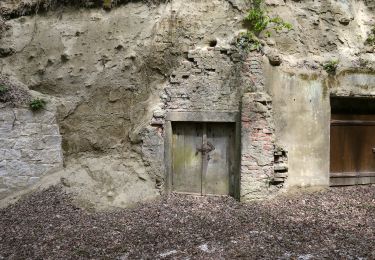 Tocht Te voet Raab - Niederhamer Weg - Photo