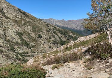 Trail Walking Albertacce - Lac de Nino - départ maison forestière  - Photo
