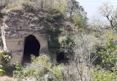 Percorso Marcia Châteauneuf-sur-Isère - Châteauneuf/isere - Photo