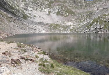 Tocht Stappen Saint-Martin-Vésubie - Boréon Col de Cerise  - Photo