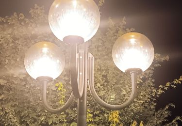 Tocht Stappen Vichy - on LUI a consacré une heure, on ne L´a jamais trouvé  - Photo