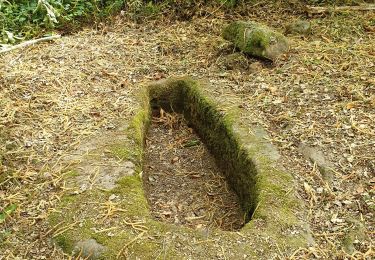Trail Walking Saint-Affrique - Les Pressoirs - Photo