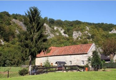 Tour Wandern Houyet - Houyet - A la découverte de la Lesse et des Aiguilles de Chaleux - Photo