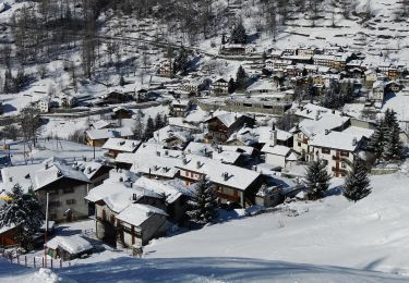 Percorso A piedi Ayas - Alta Via n. 1 della Valle d'Aosta - Tappa 8 - Photo