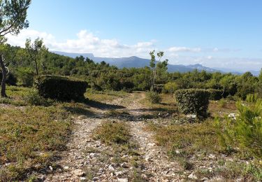 Trail Mountain bike Saint-Zacharie - Vallon de l'Espagnol St Zacharie - Photo