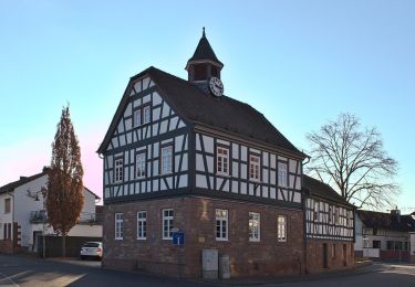 Percorso A piedi Gründau - Wanderwege um den Herzberg Nr.6 - Photo