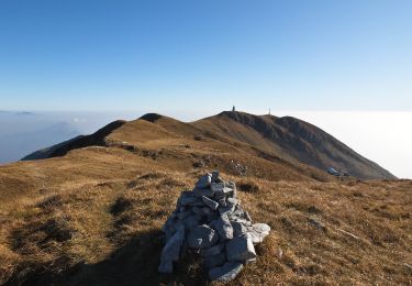 Tocht Te voet Zone - Malghe in Rete - Anello 3 - Tredici Piante - Photo