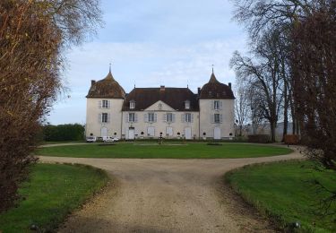 Tocht Stappen Arc-et-Senans - Arc et Senans - Photo