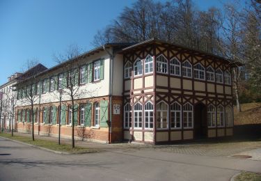 Tocht Te voet Gomadingen - Auingen - Ingstetten - Münsingen - Photo