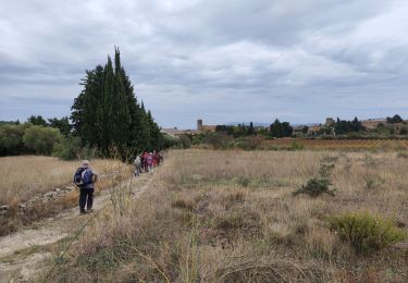 Trail Walking Laure-Minervois - laure Minervois capitelles  - Photo