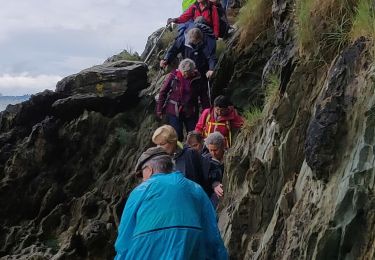 Excursión Senderismo Plestin-les-Grèves - Locquirec 07-06-19 - Photo