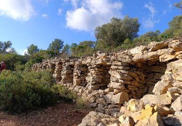 Randonnée Marche Cuers - Les chapelles et l'Apié de Cuers - Photo