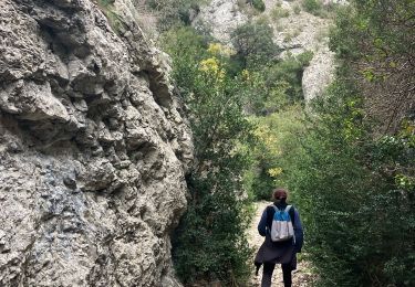 Trail Walking Cheval-Blanc - Les Mayorques(7 K 245D+) - Photo