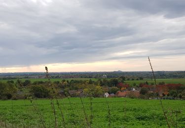 Trail Walking Eijsden-Margraten - 2022-10-23_10h14m39_1423 - Photo