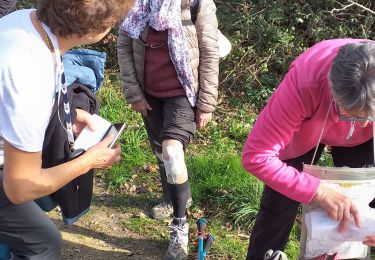 Trail Walking Hastingues - hastingues G4fait  - Photo