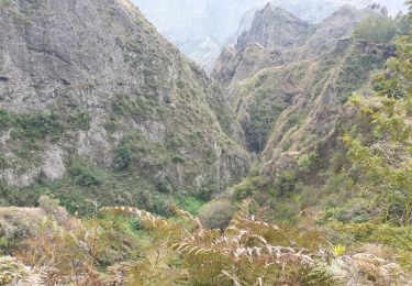 Trail Walking Saint-Paul - Canalisation des Orangers - Ilet des Orangers - Gite du Cirque - Photo