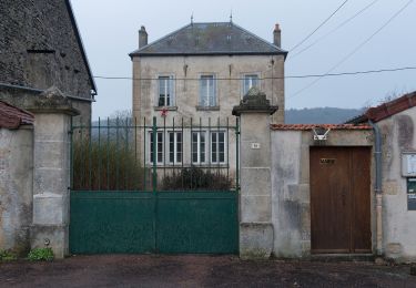 Percorso A piedi Boussey - Tour des Roches de Saffres - Photo