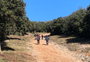 Trail Walking Murles - Sensei2021 - Photo