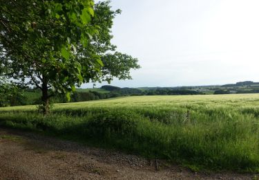 Tour Wandern Neufchâteau - Massul - Lahérie - Photo