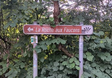 Trail Walking Neupré - contreforts de la boucle de l’ourthe - Photo