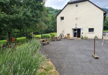 Tocht Stappen Thiézac - Moulin de Nierveze La grange de Dévézou - Photo