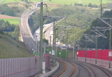 Tocht Te voet Neustadt (Wied) - [N1] Bertenauer Weg - Photo