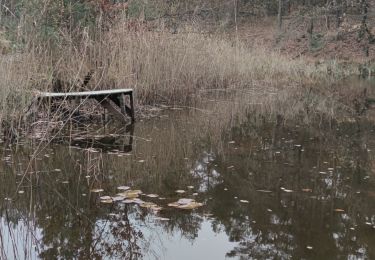Tour Wandern Lommel - A la découverte de Lommel  - Photo