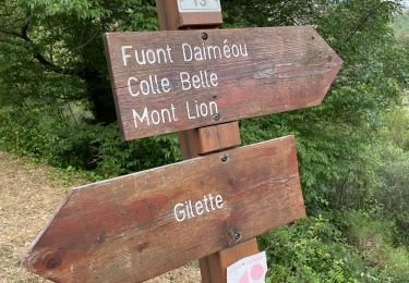 Tocht Stappen Gilette - Gilette A/R par Tourrette du château  - Photo