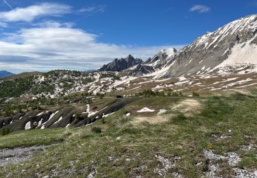 Tour Wandern Saint-Martin-d'Entraunes - Tête de l’Encombrette - Photo