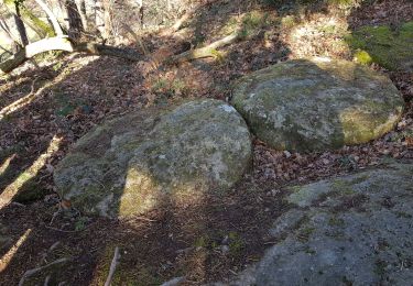 Excursión Senderismo Saint-Genest-Lerpt - 2020 03 12 St Genest Lerpt Condamine - Photo