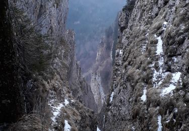 Tour Wandern Autrans-Méaudre en Vercors - La Cheminée par Babois - Photo