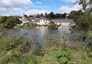 Trail Walking Parcé-sur-Sarthe - parcé - Photo